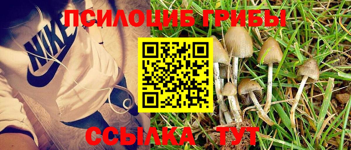 Псилоцибиновые грибы ЛСД Михайловск