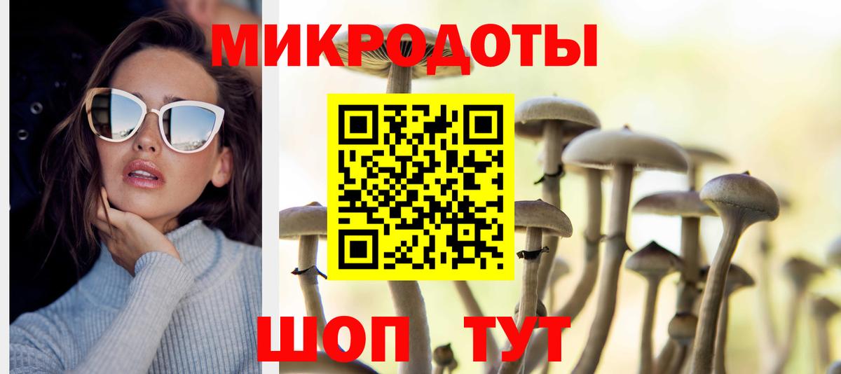 Галлюциногенные грибы GOLDEN TEACHER  Вход с VPN  Михайловск 